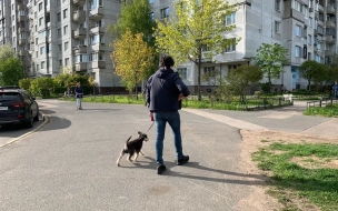 "Оранжевый" уровень опасности объявлен в Петербурге из-за аномальной жары