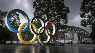 Винер объяснила, почему российским спортсменам не стоит ехать на Олимпиаду в Париж
