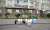 Петербуржцы заметили бесхозные канистры с неизвестной жидкостью на Наличной улице