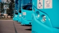 За год "лазурные" автобусы в Петербурге проехали почти 1...