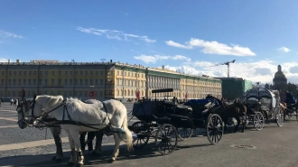 В Петербурге запретили въезд карет на Дворцовую площадь