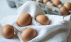 Обеспеченность Ленобласти яйцами в 6 раз превышает норму потребления