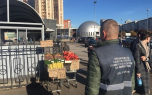 С начала прошлой недели в Петербурге снесли 24 ларька незаконной торговли