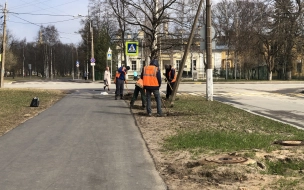 До 10 мая петербуржцы могут проголосовать за качество уборки города