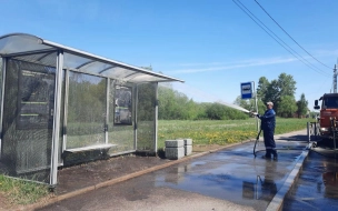 Дорожники Петербурга отмыли около 30 тыс. остановочных павильонов за неделю 