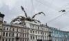На крыше дома в центре Петербурга "заметили" огромного паука