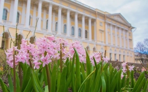 Суд обязал Русский музей отреставрировать Дворец Строгановых