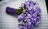 Скачок цен на цветы 8 марта в Петербурге связывают с поставками из Африки и Латинской Америки