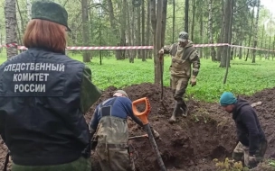 Останки 11 человек нашли в парке "Сильвия" в Гатчине