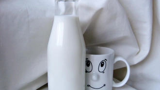Фальсификат ультрапастеризованного молока нашли в петербургских магазинах