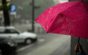 В Ленобласти 21 марта в большинстве районов пройдёт небольшой дождь