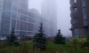 Ночью 15 октября в отдельных районах Ленобласти ожидается туман
