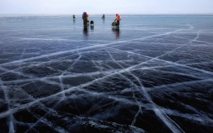 Жительница Петербурга провалилась под лед на Финском заливе