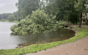 В Петербурге в связи с непогодой закрыли сады и парки