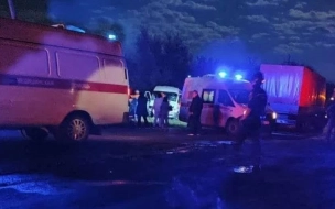 В Ростовской области два человека погибли в ДТП с фурой и микроавтобусом