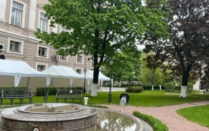 Сад Мариинского дворца открыли для прогулок