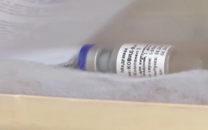 Черногория и Сент-Винсент и Гренадины одобрили вакцину "Спутник V"