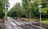 В десяти районах Петербурга оборудовали новые безопасные пешеходные переходы