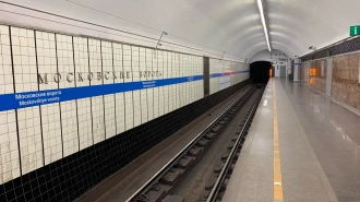 Движение на синей ветке метро Петербурга остановили из-за упавшего человека