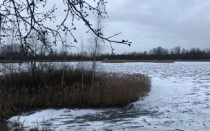 Спасатели сняли порядка 100 человек со льда на реке Глухарке в Петербурге