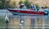 Мертвого рыбака нашли на озере Чухонка в Колпинском парке