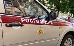 В Петербурге сотрудники Росгвардии обнаружили похищенную иномарку