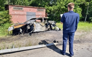 Виновник ДТП с тремя погибшими пассажирками на Приморском проспекте заключен под стражу