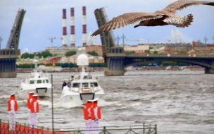 В ближайшие недели пройдут репетиции Главного военно-морского парада в Петербурге