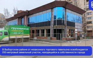 Торговый павильон на  Художников сносят