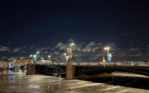 В ночь на 29 января в Петербурге разведут мосты по Неве и Большой Неве