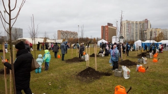 В Полюстровском парке жители Петербурга высадили 27 лип