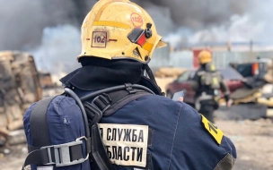 В Луге после пожара в деревянном заброшенном здании нашли два трупа