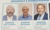 В Петербурге кандидаты Вишневские сдали в избирком похожие фотографии