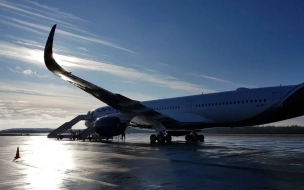 При аварийной посадке самолета из Антальи в Пулково никто не пострадал 