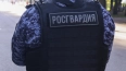Росгвардейцы задержали постояльца хостела в Кингисеппе, ...