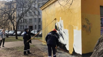 Прокуратура Петербурга передумала возбуждать уголовное дело из-за граффити с Навальным