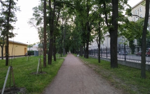 Садово-парковые предприятия Петербурга готовятся к штормовому ветру