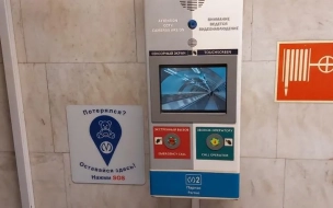 Стикеры для потерявшихся детей разместят на всех станциях метро Петербурга