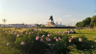 Петербургские депутаты отозвали инициативу о поправках к курортному сбору