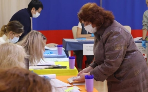 Голосование в Выборгском районе Ленобласти проходит под международным наблюдением 