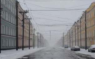 В Петербурге 20 ноября усилится ветер и ожидается налипание снега