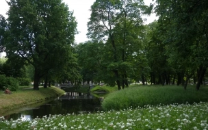 В Петербурге закроют сады и скверы из-за штормового предупреждения 