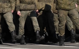 Более 2,5 тыс. срочников хотят призвать в Петербурге