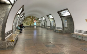 В Петербурге задержаны подростки, подозреваемые в избиении пассажира метро
