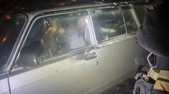 В Киришах росгвардейцы предотвратили возгорание автомобиля, припаркованного под неисправным фонарем 