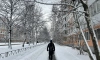 В Петербурге объявили "желтый" уровень погодной опасности 