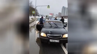 На проспекте Культуры винтажная "Волга" сбила человека