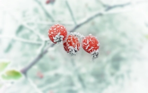 В Ленобласти 26 января ожидаются мокрый снег и дождь