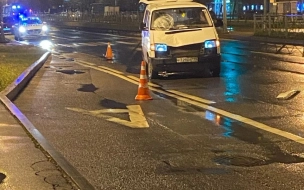 Ночью на Димитрова микроавтобус сбил пешехода