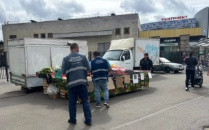 За две недели 15 земельных участков освобождены  от незаконной уличной торговли в Петербурге 